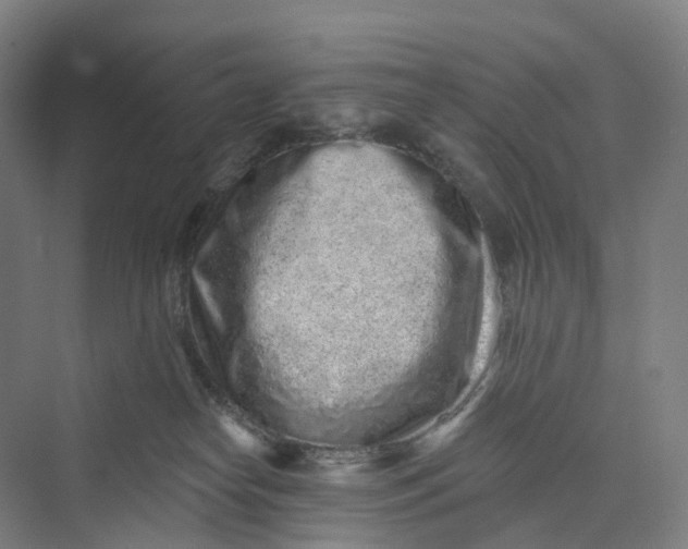 X0000069790182200606021423