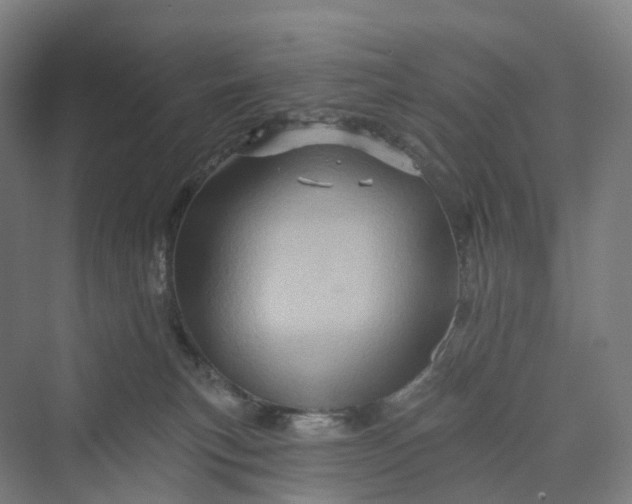 X0000069790183200606021423