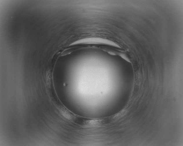 X0000069790184200606021423