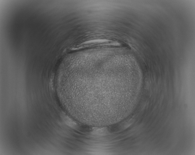 X0000069790185200606021423