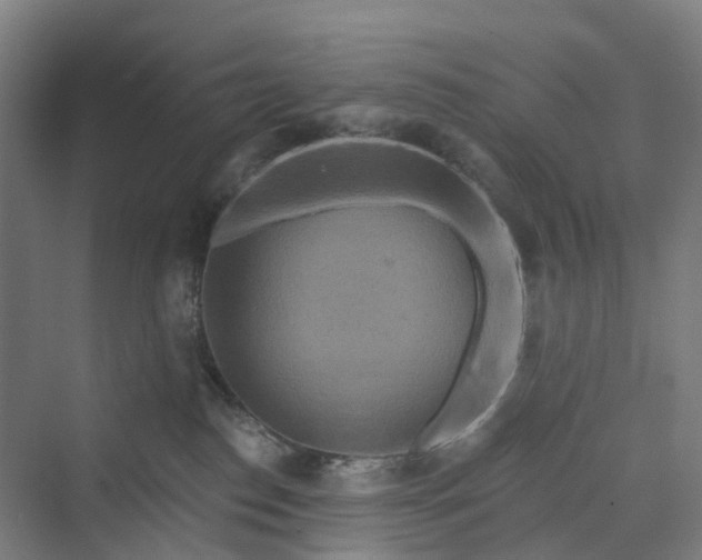 X0000069790186200606021423