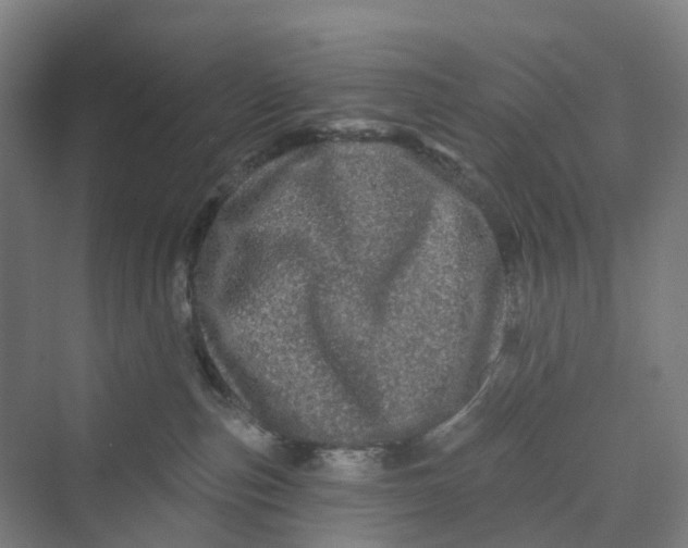 X0000069790187200606021423