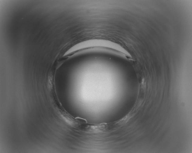 X0000069790188200606021423