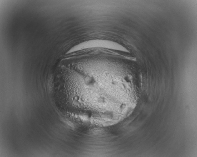 X0000069790189200606021423