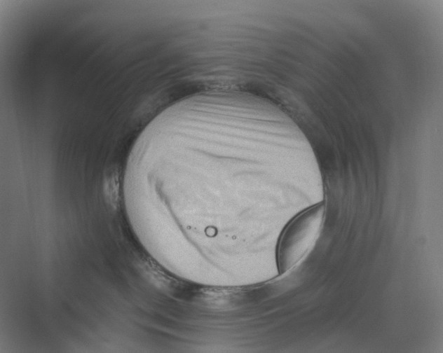 X0000069790190200606021423