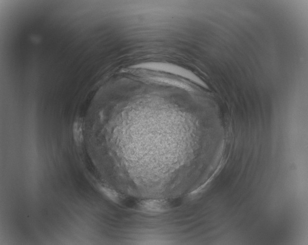 X0000069790191200606021423