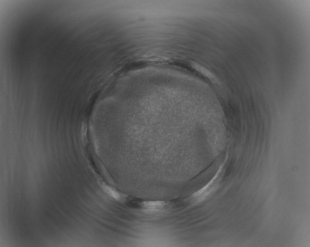 X0000069790192200606021423