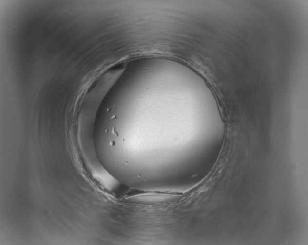 X0000069790193200606021422