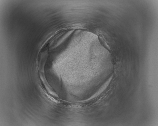 X0000069790194200606021422