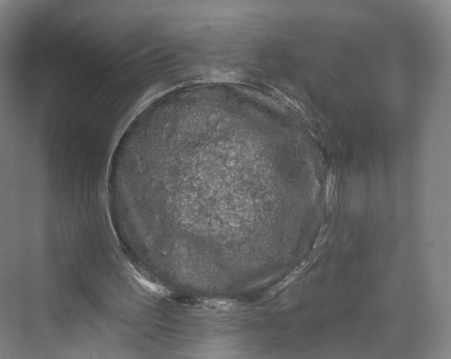 X0000069790195200606021422