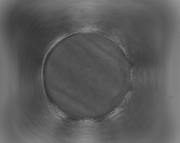 X0000069790196200606021422