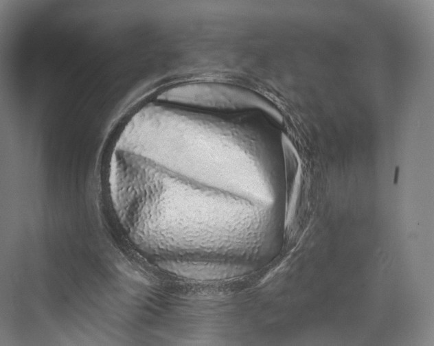 X0000069790198200606021422