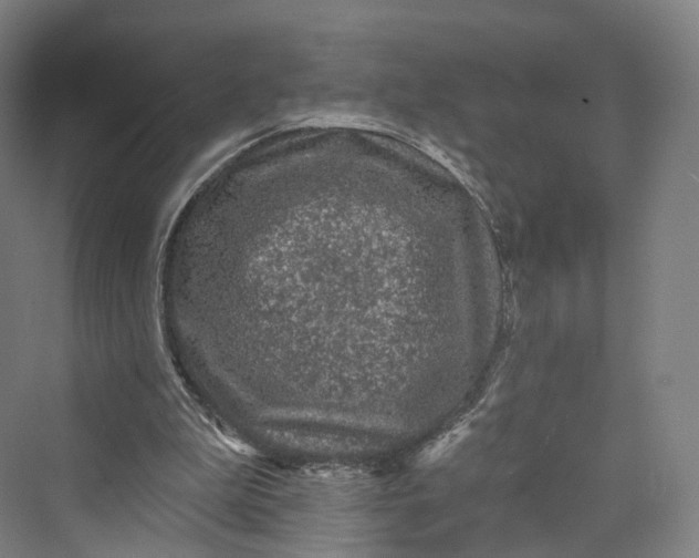 X0000069790199200606021422