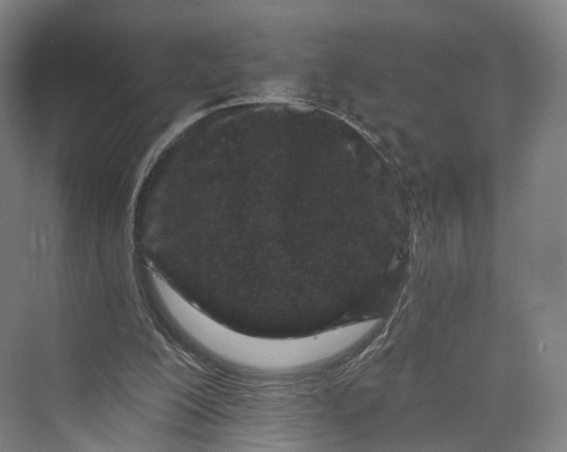 X0000069790200200606021422