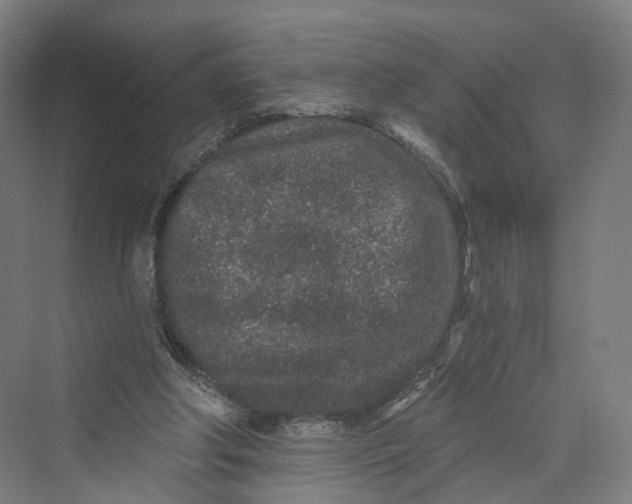 X0000069790202200606021422