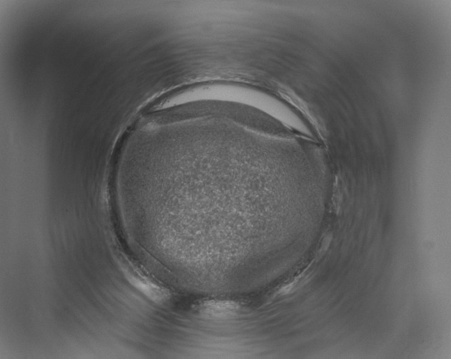 X0000069790203200606021422