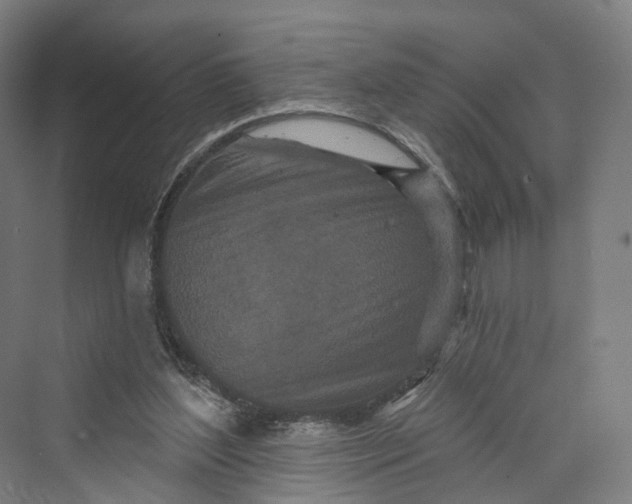 X0000069790204200606021422