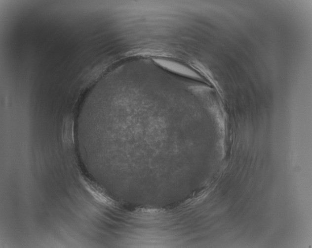 X0000069790205200606021422