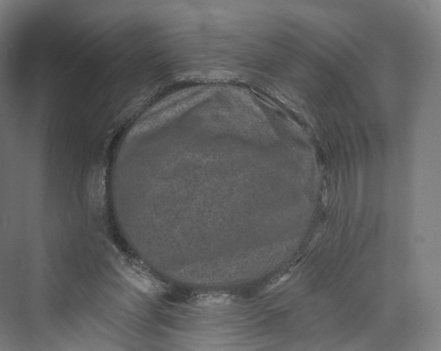 X0000069790206200606021422