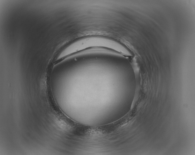 X0000069790207200606021422