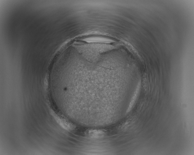 X0000069790208200606021422