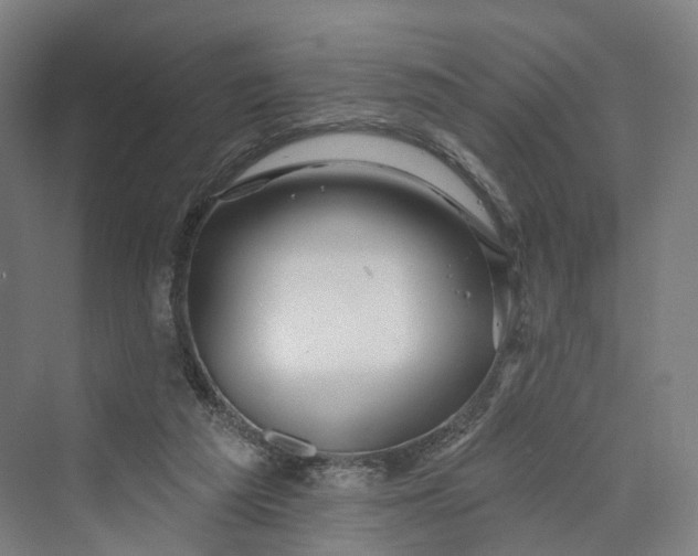 X0000069790209200606021422