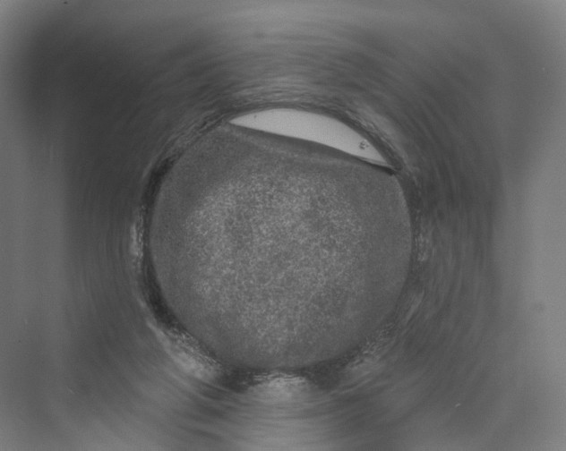 X0000069790210200606021422