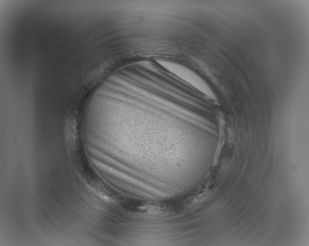 X0000069790211200606021422