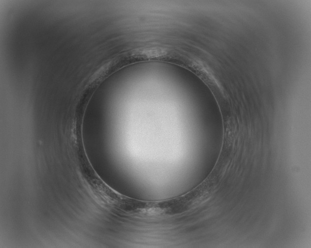 X0000069790212200606021422