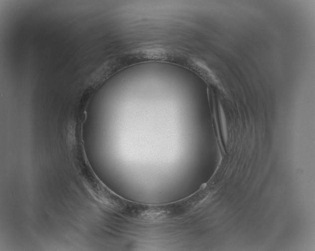 X0000069790213200606021422