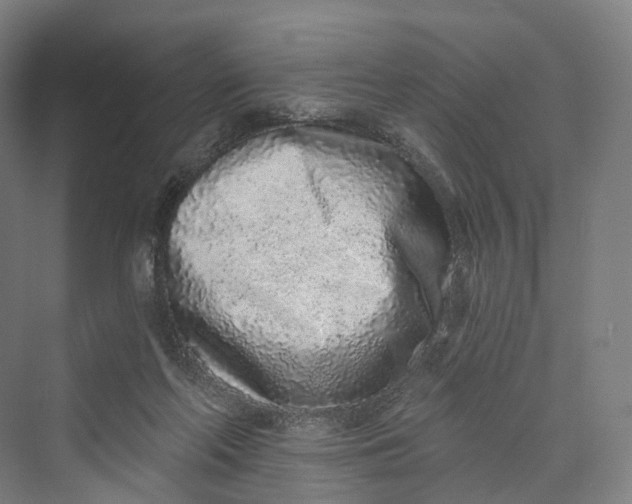 X0000069790214200606021422