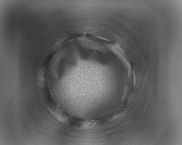 X0000069790215200606021422