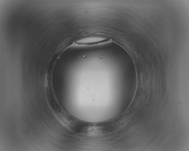 X0000069790216200606021422