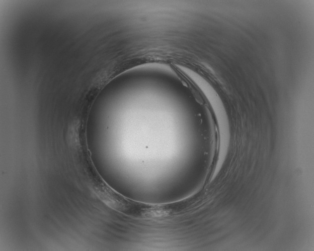 X0000069790217200606021421