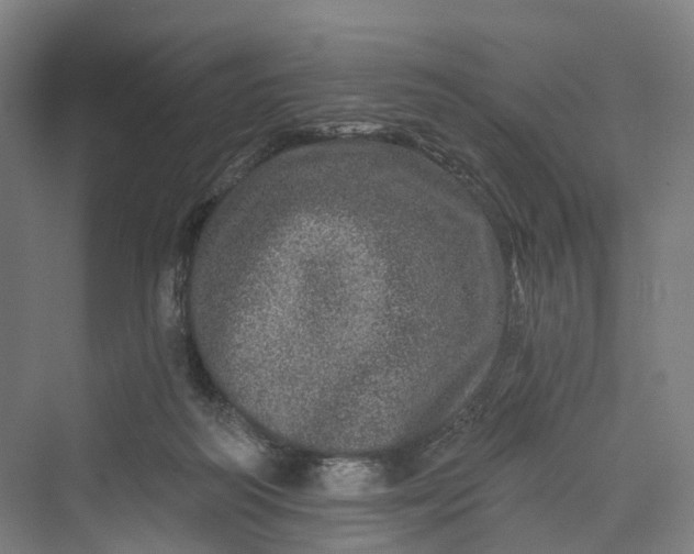 X0000069790218200606021421