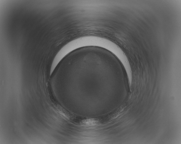 X0000069790219200606021421