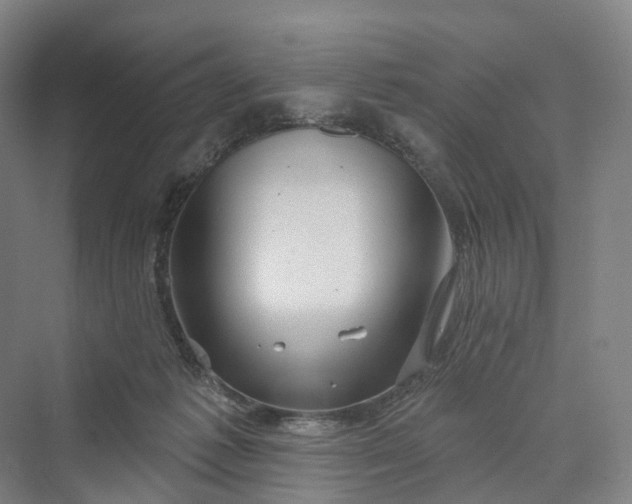 X0000069790221200606021421