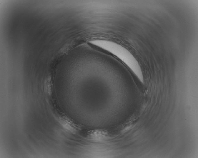 X0000069790223200606021421