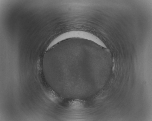 X0000069790224200606021421