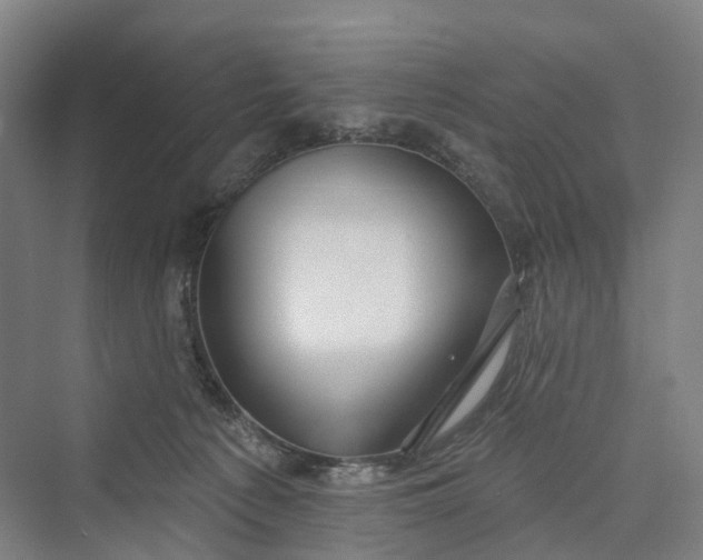 X0000069790225200606021421