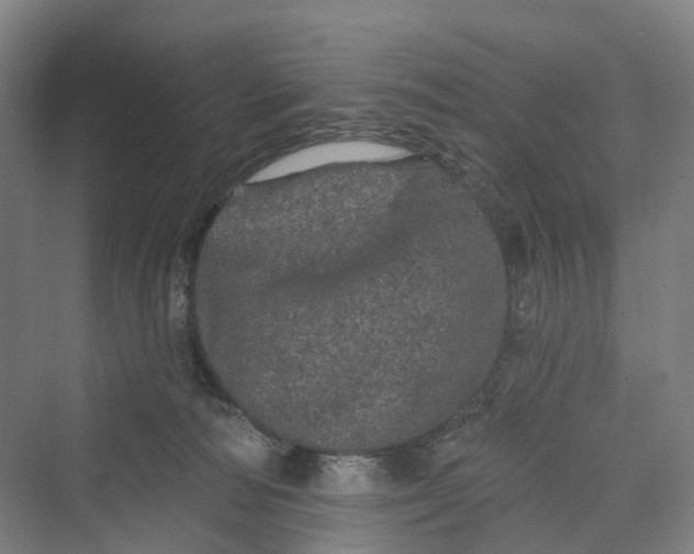 X0000069790226200606021421