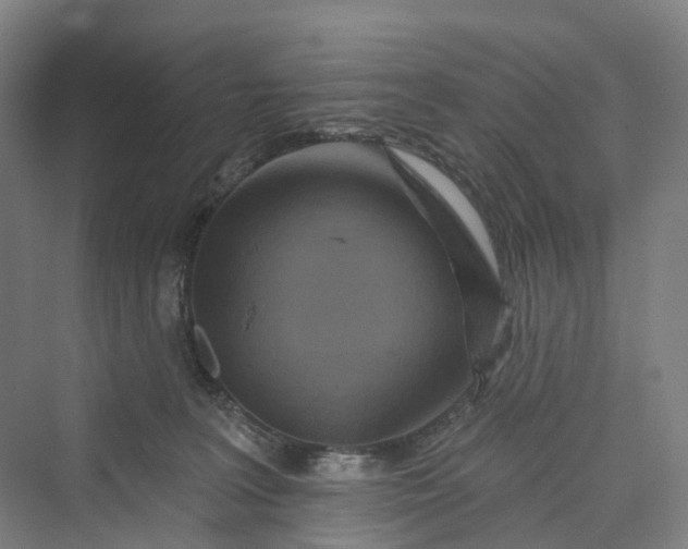 X0000069790227200606021421