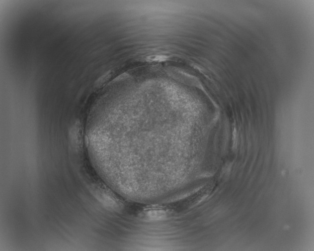 X0000069790228200606021421