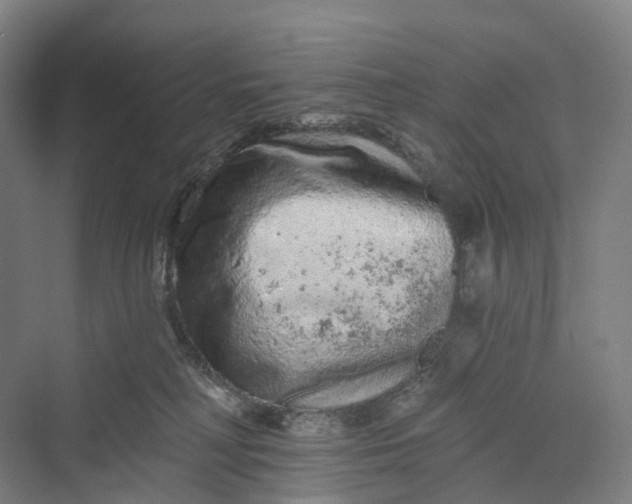 X0000069790230200606021421