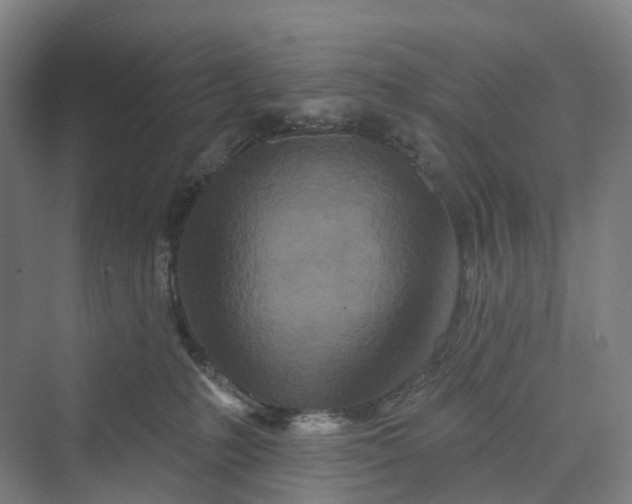 X0000069790231200606021421