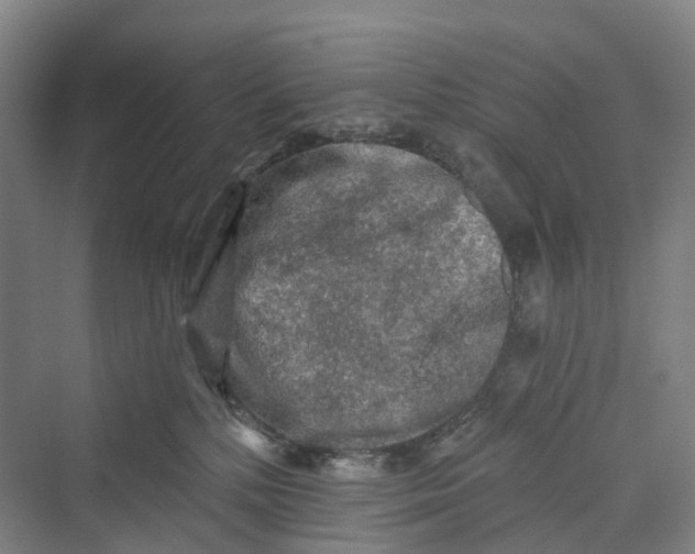 X0000069790232200606021421