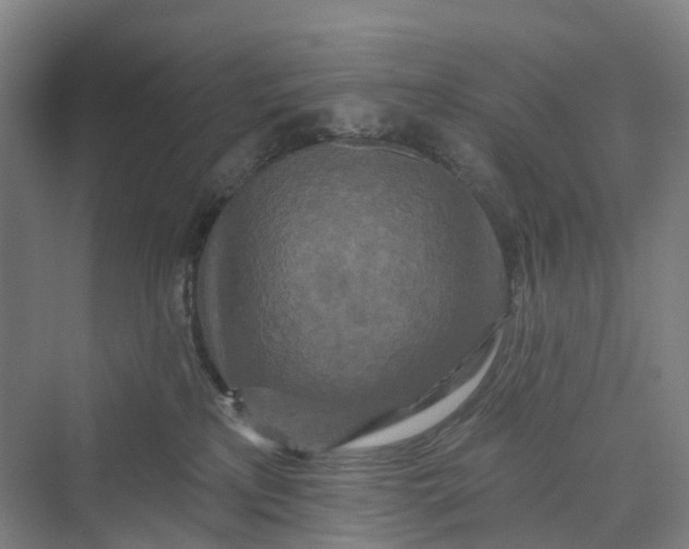 X0000069790233200606021421