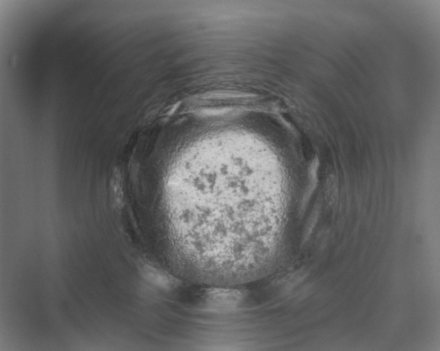 X0000069790234200606021421