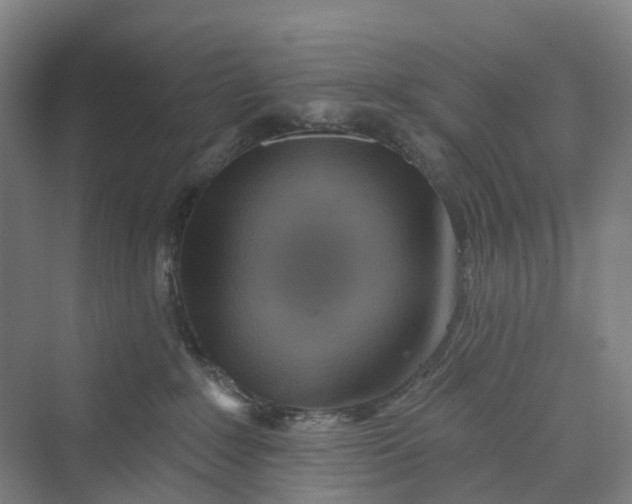 X0000069790235200606021421