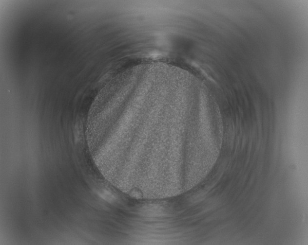 X0000069790236200606021421